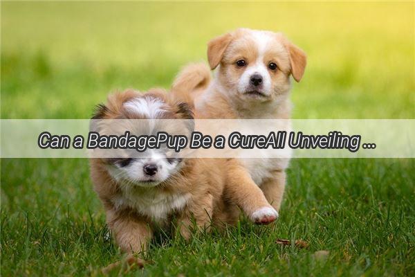 Can a BandagePup Be a CureAll Unveiling the Versatility of Pet Adhesives